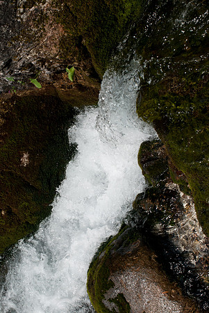 Soca source, Koca pri Izvina