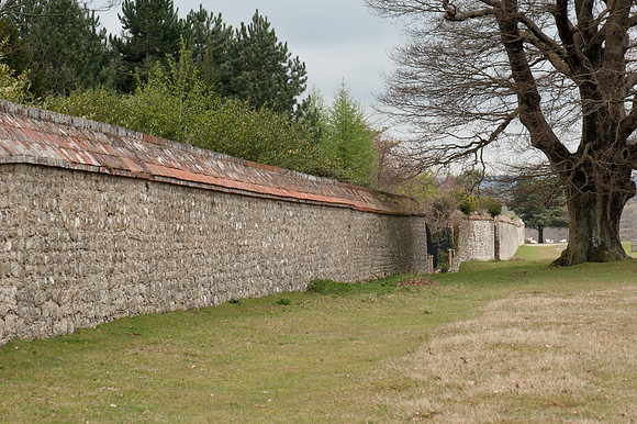 Knole Wall