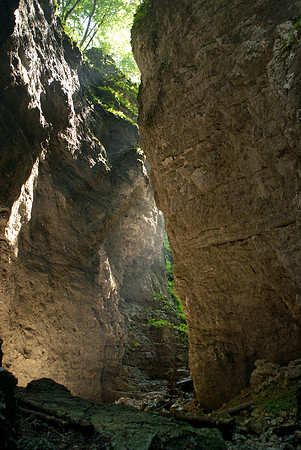Pokljuka Gorge
