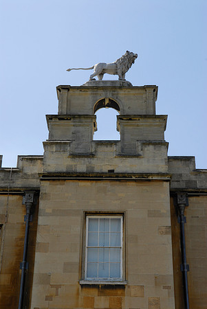 Percy Lion