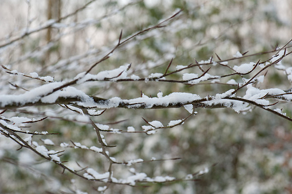 Snow