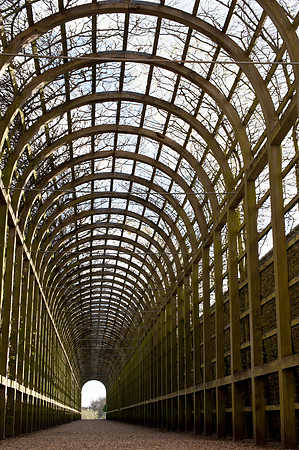 Pergola, Hampton Court