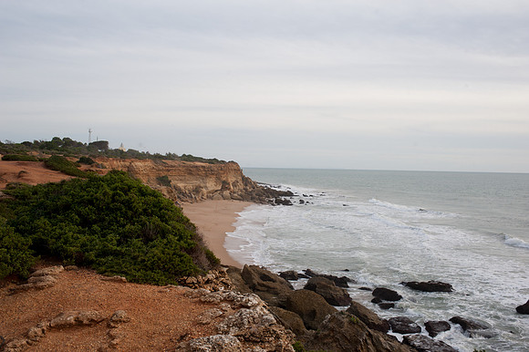 Oyster beds at Playa del Puerco