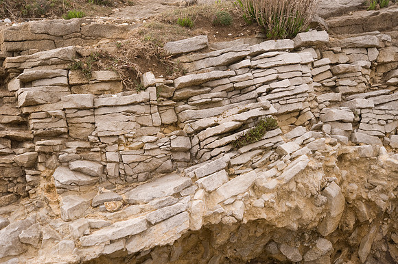 Portland Limestone