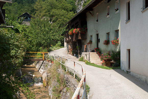 Bohinjska Bela