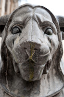 Lion in Piazza Bellini