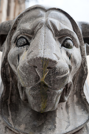 Lion in Piazza Bellini