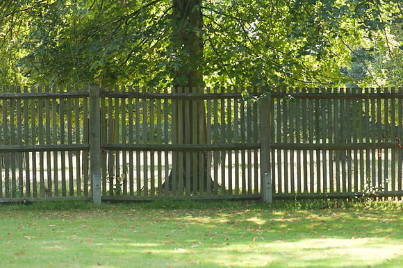 Fence