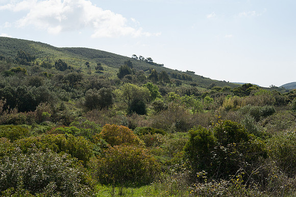 Near Burgau