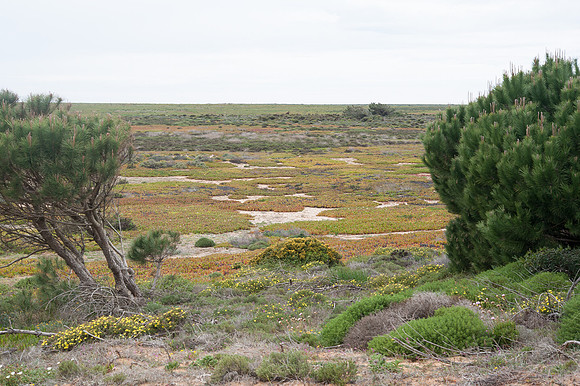 Taboleiro