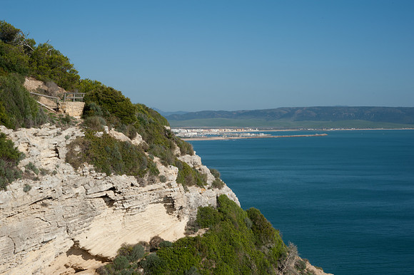 View from Torre de Taho, La Brena y Marismas de Barbate_2