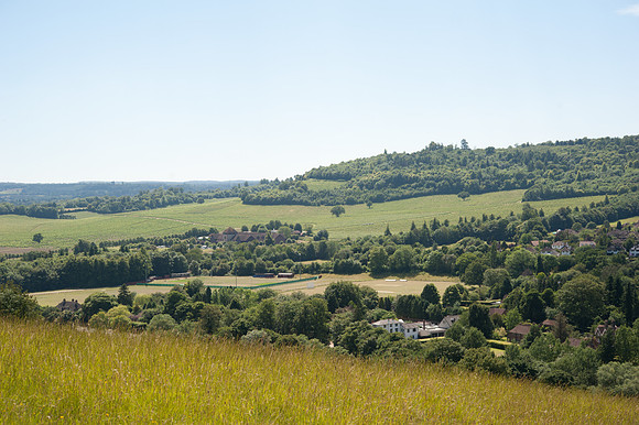 Denbies
