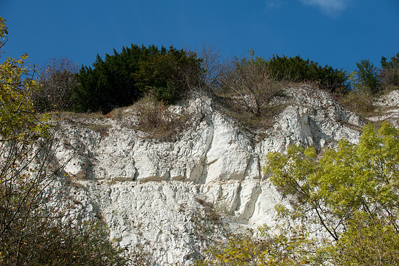 Brockham Quarry
