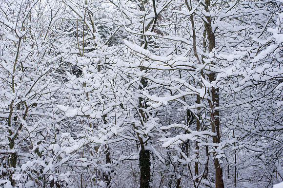 Claygate Snow