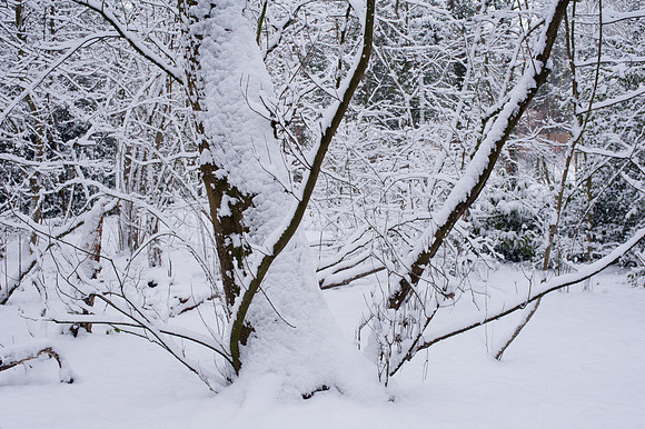 Claygate Snow