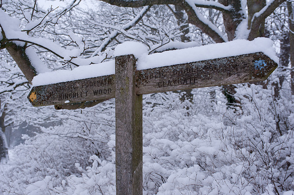 Snowy Sign Post