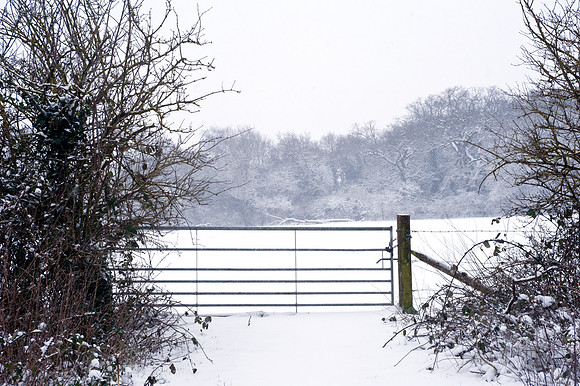 Claygate Snow