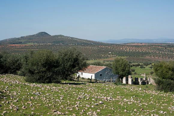 Blancas Sierra del Condas