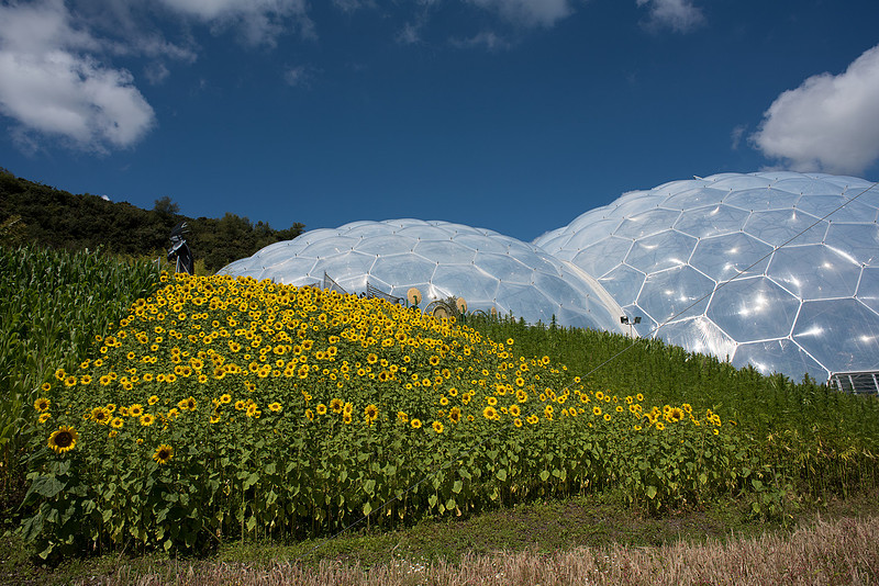 Eden Project
