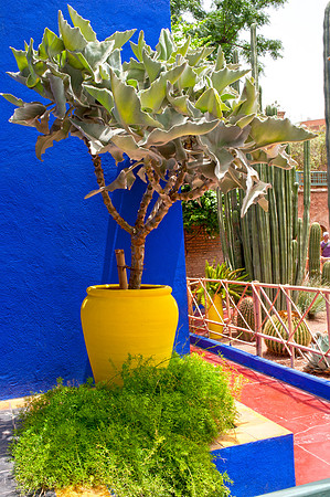 Marjorelle