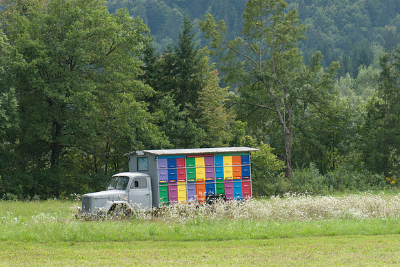 Obroc beehives