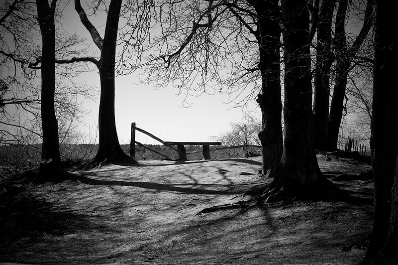 West End Bench