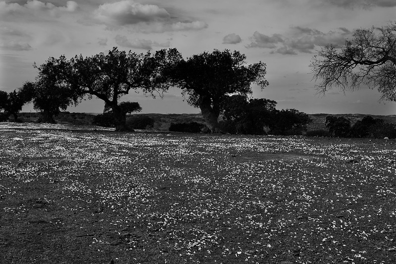 Barrancos, Portugal