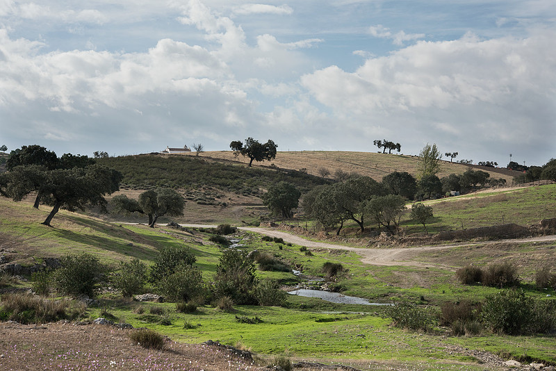 Dehesa at Safara, Portugal