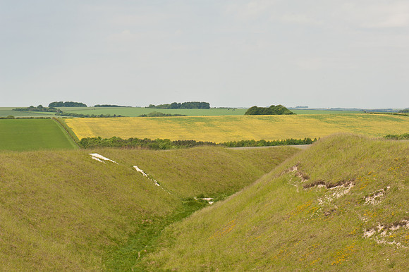 Yarnbury Castle, Wiltshire