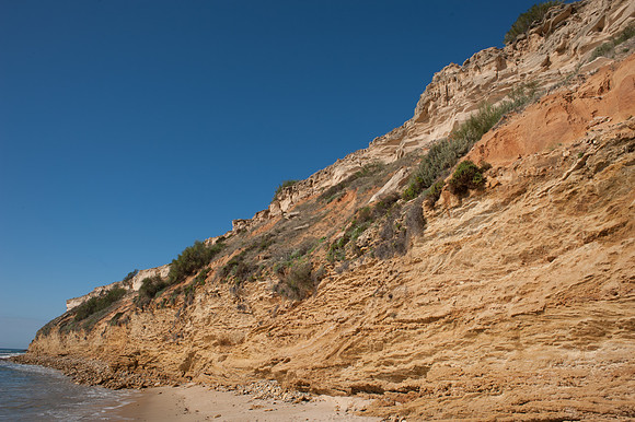 La Brena y Marismas de Barbate