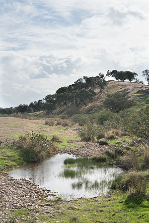 Dehesa at Safara, Portugal