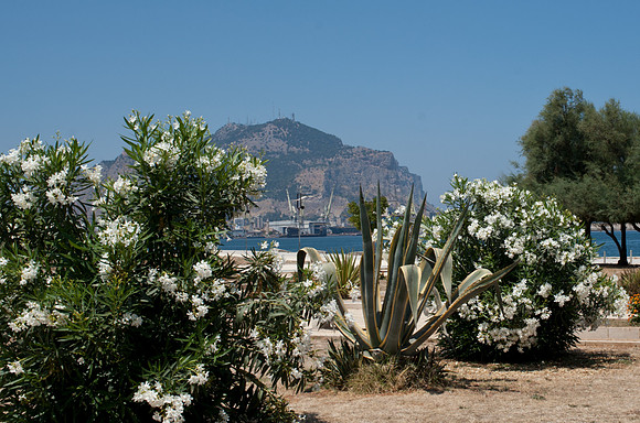 Monte Pellegrino