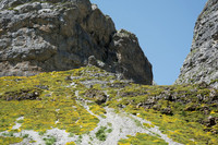 Above Cascada de Cola de Caballo, Pyrenees