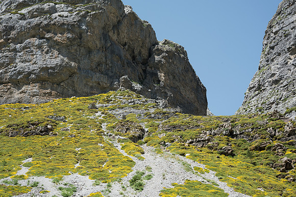 Above Cascada de Cola de Caballo, Pyrenees