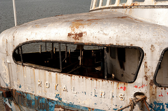 Royal Iris, Woolwich
