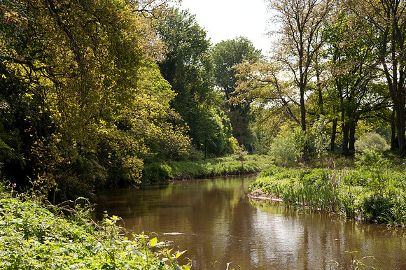 River Wey, Surrey