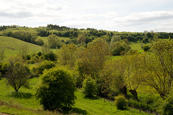 Windrush Way