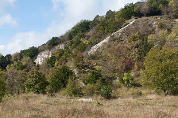 Brockham Quarry
