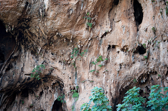 Grotto dell'Uzzo