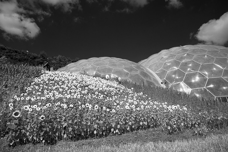 Eden Project