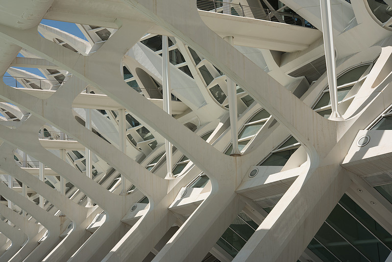 Museu de les Ciències Valencia, Spain.