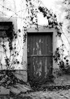 Blue Door, Germany