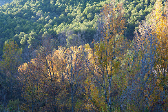 Rio Burgo valley