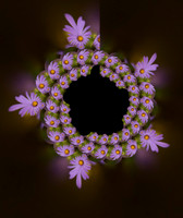 Aster
