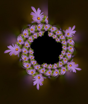 Aster