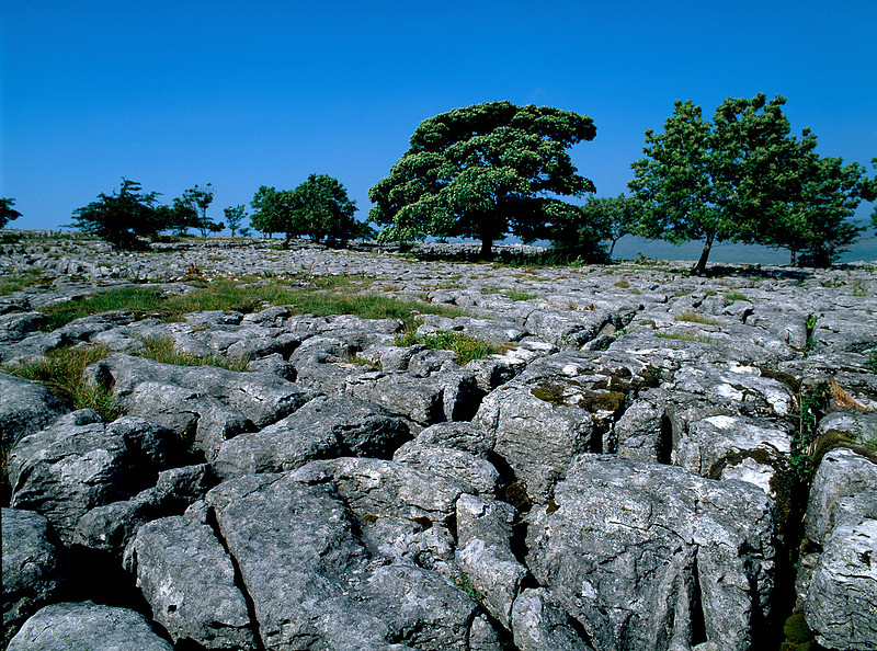 Southerscales Limesone Pavement, Ingelborough, Yorkshire Dales