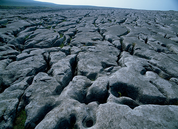 Southerscales Limesone Pavement, Ingelborough, Yorkshire Dales