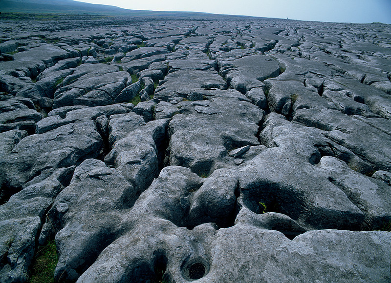 Southerscales Limesone Pavement, Ingelborough, Yorkshire Dales