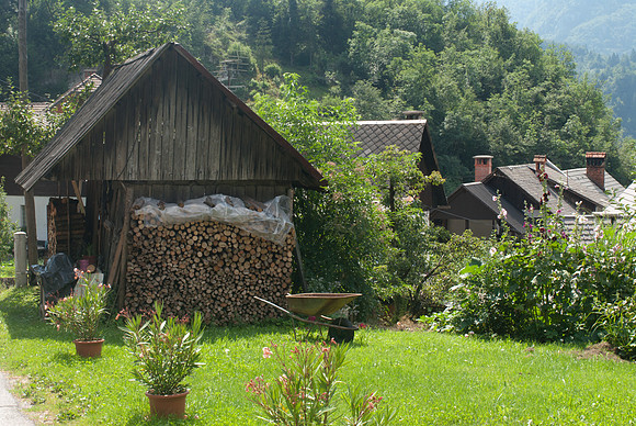 Bohinjska Bela