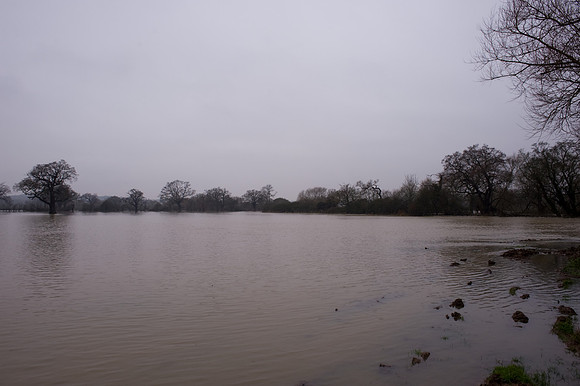 Flooding of river Mole Cobham Surrey